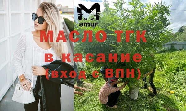 сатива Алзамай