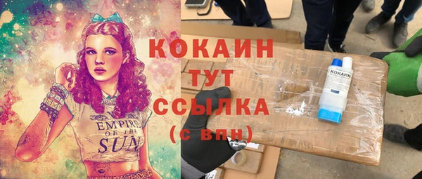 дживик Абаза
